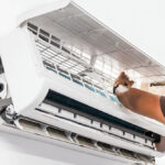 Block category: Archive Widget